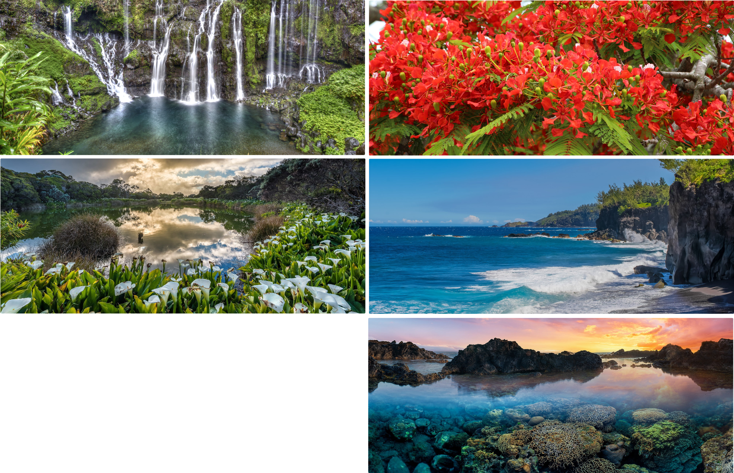 Mug Calendrier 2025 – Image 4